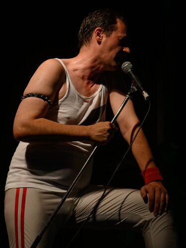 Austrofred am picture on Festival 2026 Bildein