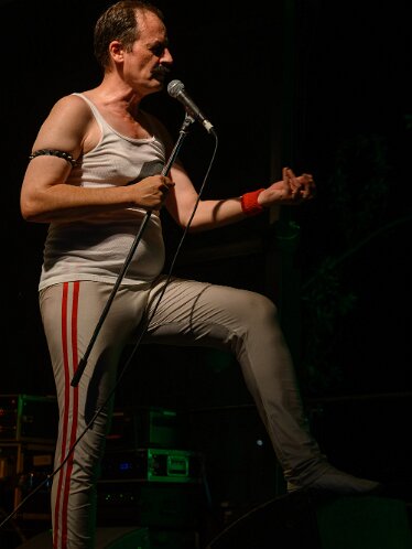 Austrofred am picture on Festival 2026 Bildein