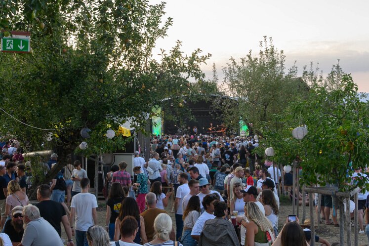 Wiener Blond am picture on Festival 2026 Bilden